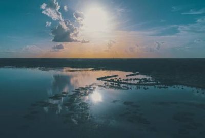 What owners say about maintenance fees and availability at Westgate Resorts