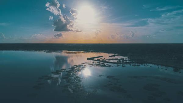 What owners say about maintenance fees and availability at Westgate Resorts